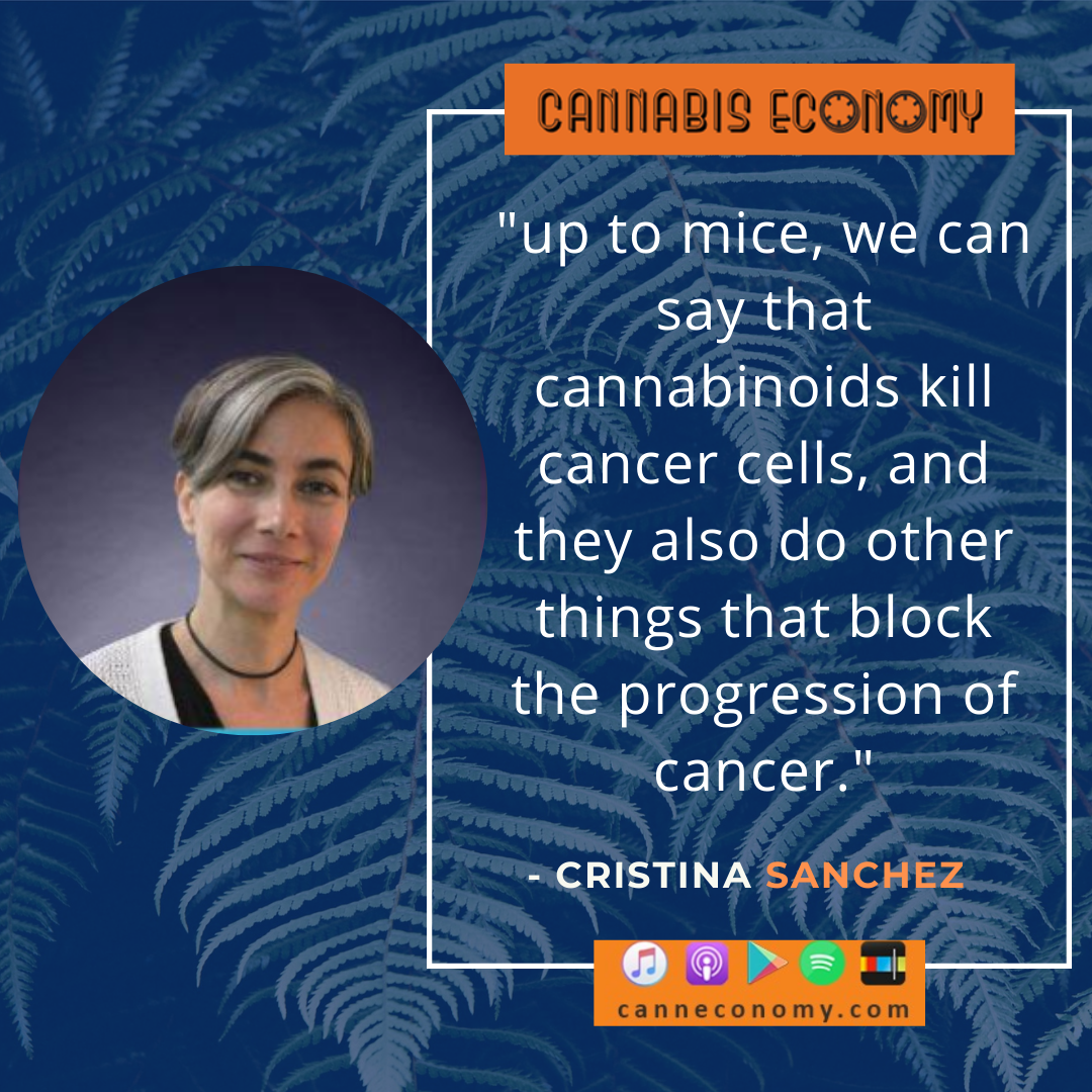 CannEconomy cannabis medical marijuana